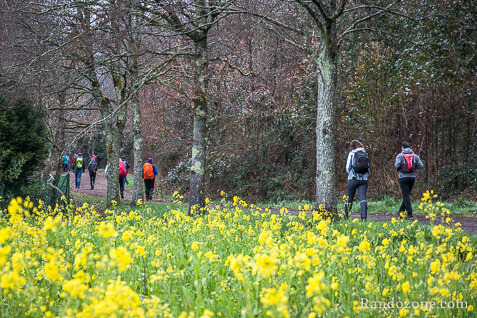 3 jours sur le sentier de Compostelle en Espagne / Photo