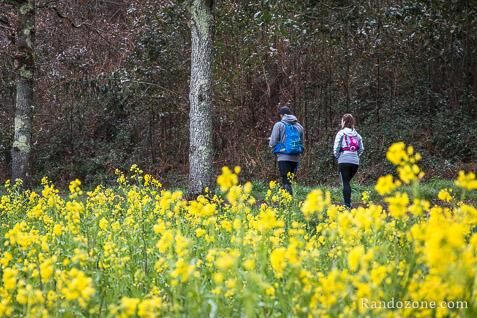 3 jours sur le sentier de Compostelle en Espagne / Photo