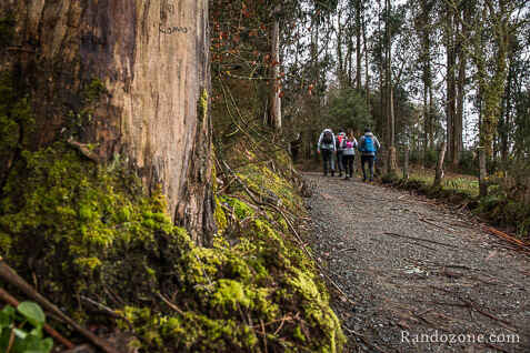 3 jours sur le sentier de Compostelle en Espagne / Photo