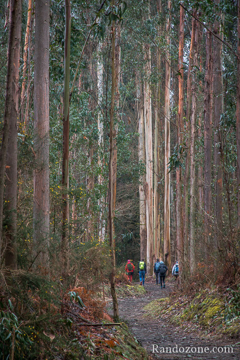 3 jours sur le sentier de Compostelle en Espagne / Photo