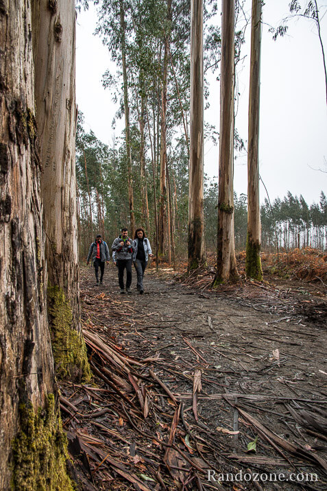 3 jours sur le sentier de Compostelle en Espagne / Photo