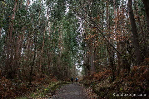 3 jours sur le sentier de Compostelle en Espagne / Photo