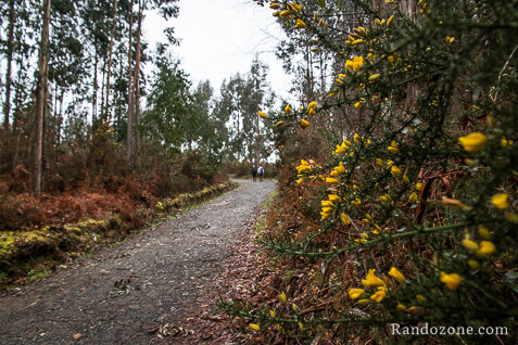 3 jours sur le sentier de Compostelle en Espagne / Photo
