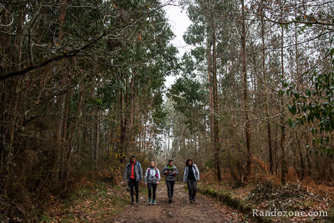 3 jours sur le sentier de Compostelle en Espagne / Photo
