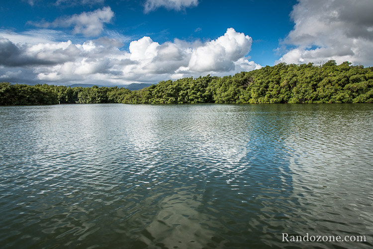 Arrivée au bord de la mangrove