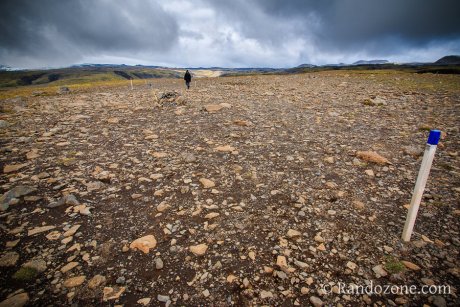 Paysage dsertique