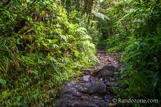 Randonnée à la Soufrière