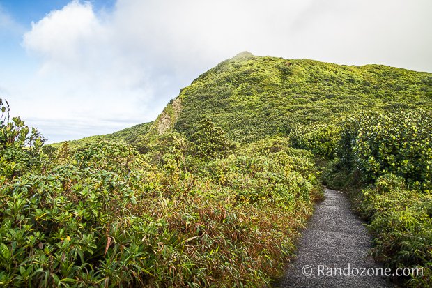 Randonnée à la Soufrière