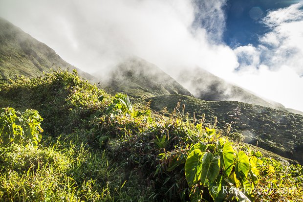 Randonnée à la Soufrière
