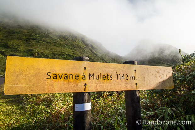Randonnée à la Soufrière