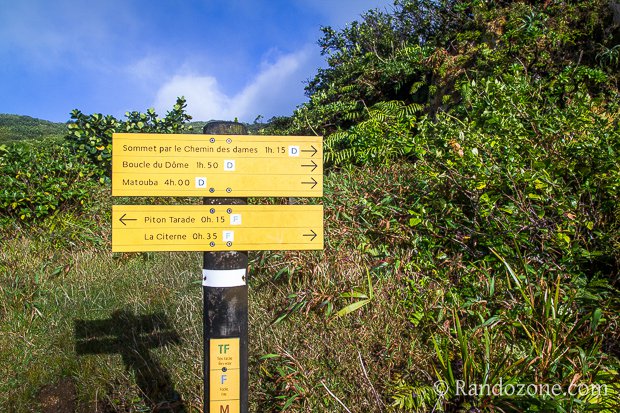 Randonnée à la Soufrière