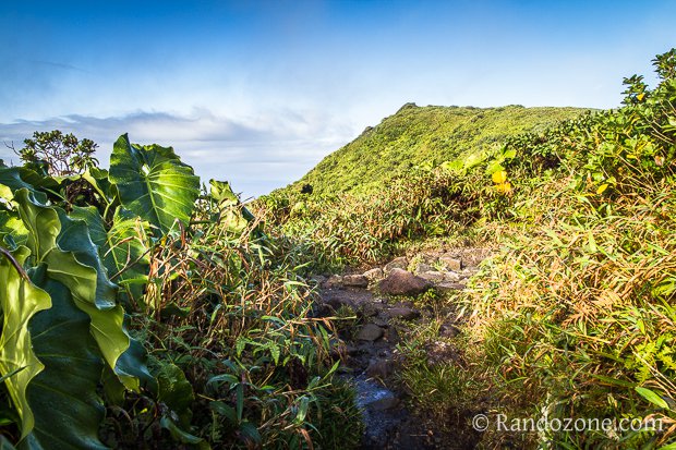 Randonnée à la Soufrière
