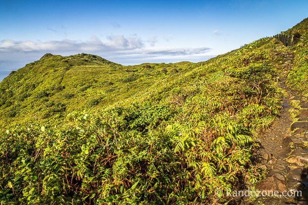 Randonnée à la Soufrière
