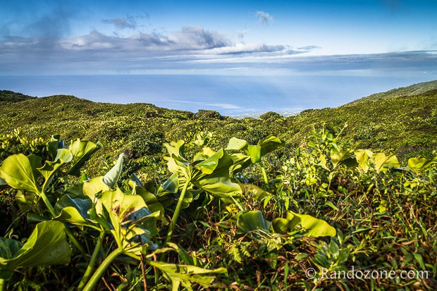 Randonnée à la Soufrière