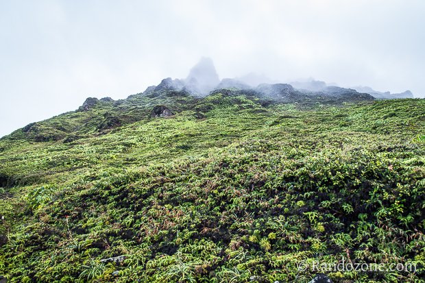 Randonnée à la Soufrière