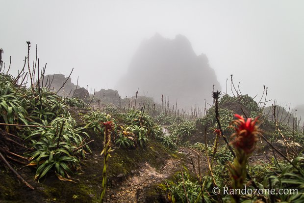 Randonnée à la Soufrière