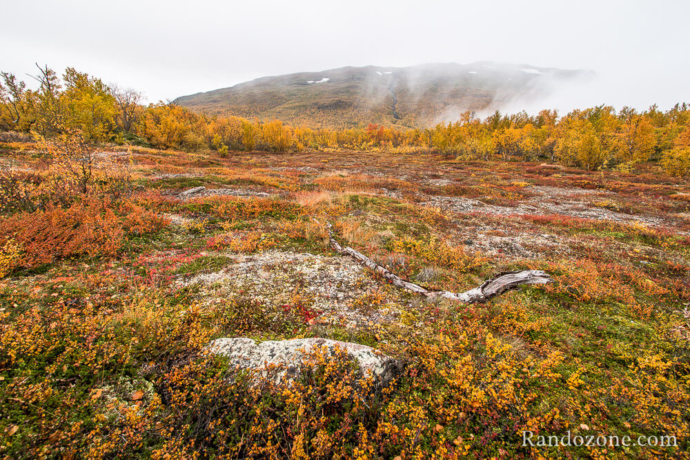 Une ambiance fantastique dans le parc d'Abisko en Sude
