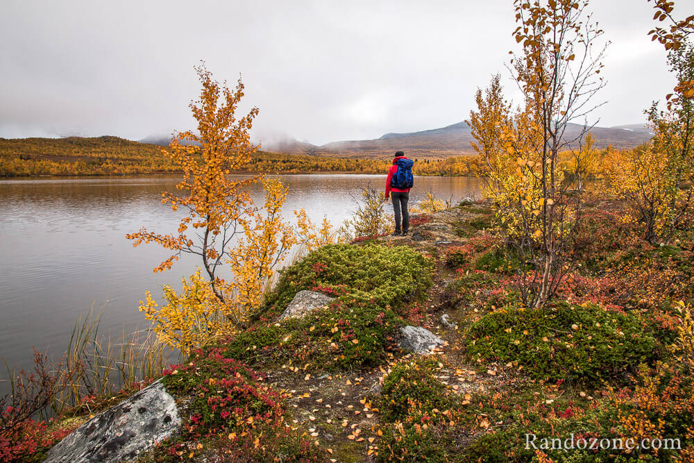 Au bord du lac Vuolip Njhkajavri dans le parc d'Abisko en Sude