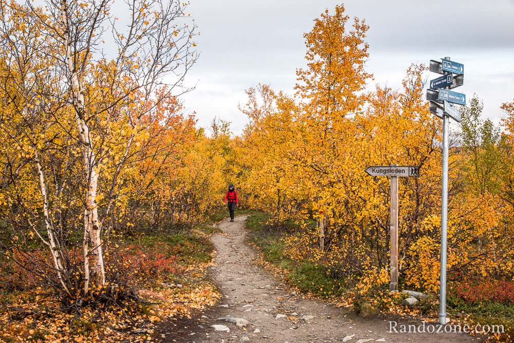 Randonne dans le parc national d'Abisko