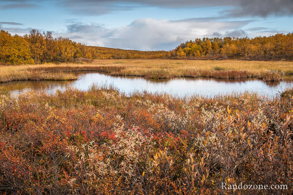 Randonne dans le parc national d'Abisko
