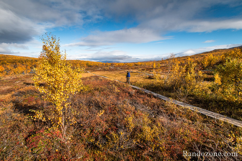 Randonne dans le parc national d'Abisko