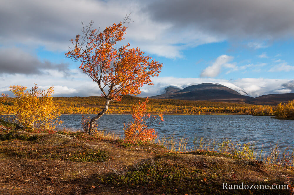 Randonne dans le parc national d'Abisko