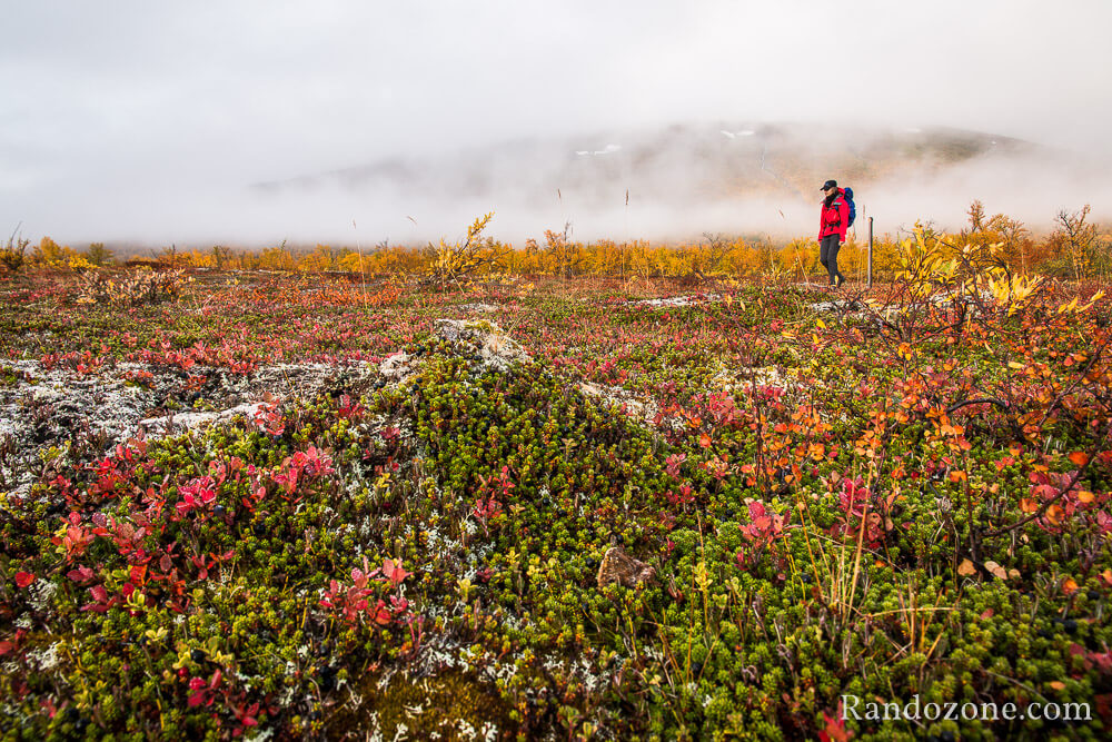 Randonne dans le parc national d'Abisko en laponie sudoise