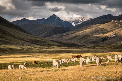 Etape 1 Trek de l'Apu : Cusco - Chillca (4350m) / Photo 2014