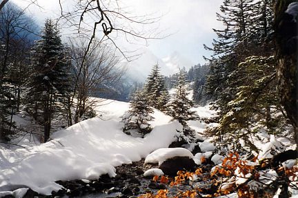Plateau du Marcadau en hiver
