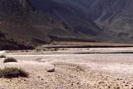 Le Nilgiri