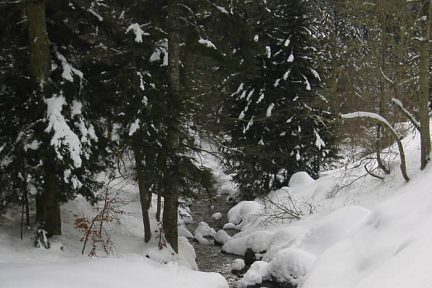 Rivière sous la neige