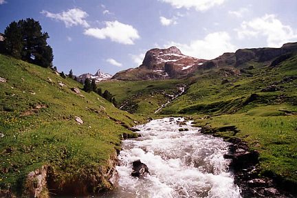 Rivière et prairie