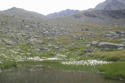 VERS LE LAC DES MUANDES