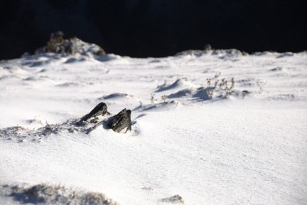 non loin de la source de Bastayau