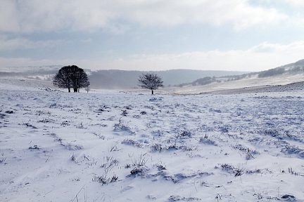 Plateau de l'Aubrac sous la neige fraîche