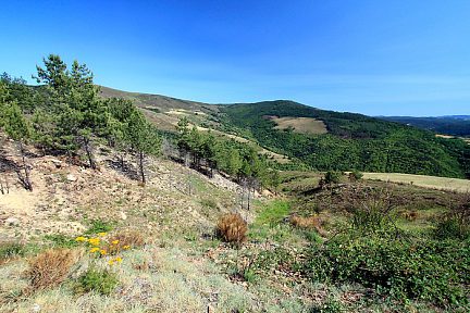 Superbe vue depuis le col du Sapet dans les Cevennes