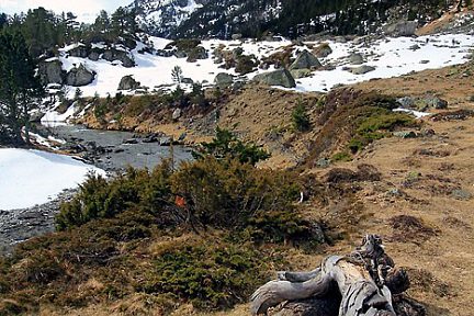 Raquettes à neige dans la vallée du Marcadau