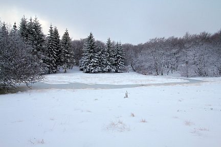 Neige sur le plateau de l'Aubrac, sentier de Laguiole