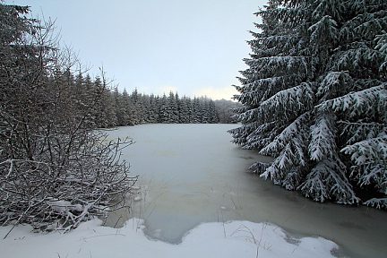 Etendue gelée sur le sentier botanique de Laguiole
