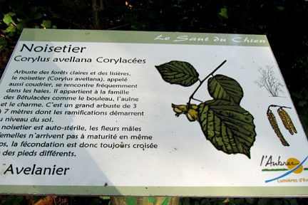 Fiche explicative tout le long de la randonnée