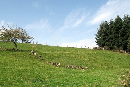 Plateau de Viadène, qui commence à ressembler à celui de l'Aubrac