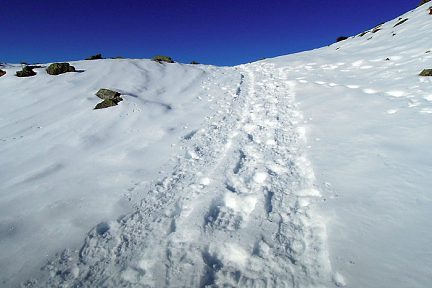 Balade à Hautacam dans la neige fraiche