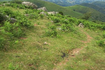 Chemin qui mène au Mondarrain dans le Pays Basque