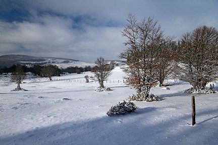 Neige sur le plateau de l'Aubrac en janvier