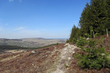 Randonnée au Col de Bonnecombe et alentours sur l'Aubrac côté Lozère
