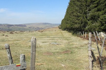 GR de Pays du Tour des Monts d'Aubrac, du côté Lozère, près du Col de Bonnecombe