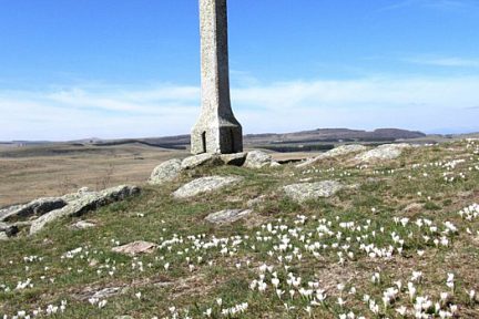 Crocus sous la croix dominant le lac de Saint Andéol sur l'Aubrac