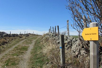 Sentier de l'Aubrac: chemin de randonnée côté Lozère, sur le Plateau de l'Aubrac
