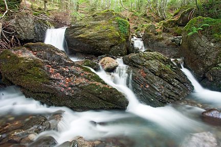 Cours d'eau dans les Hautes-Pyrénées