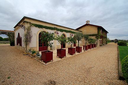 Balade dans les vignes à Smith Haut Lafitte